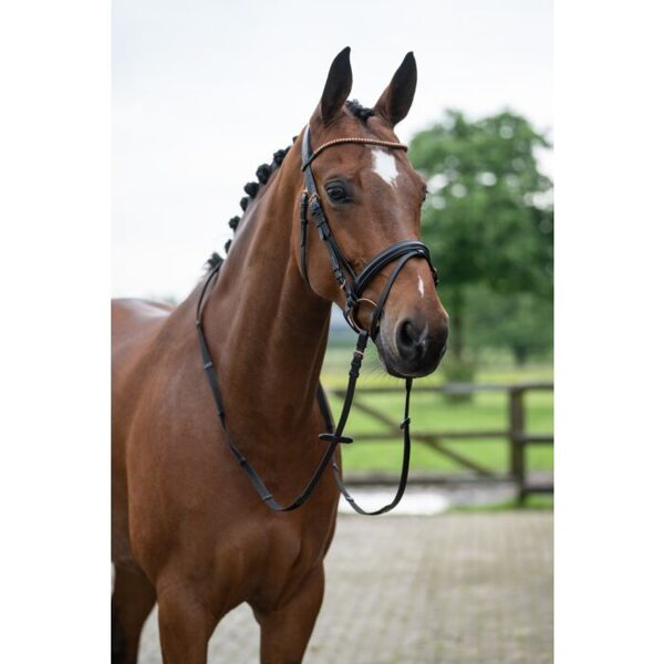 Bridle -Rosegold Glamour- Style