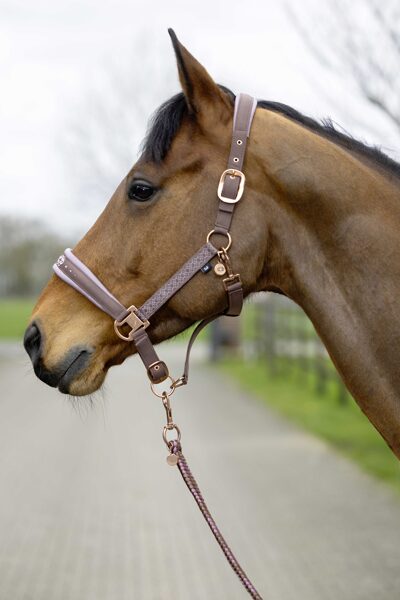 Head collar Arctic Bay