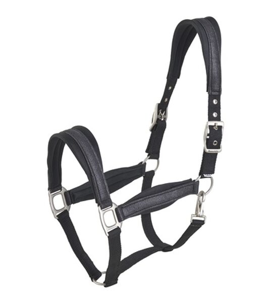 CARLET PADDED NYLON HALTER, BLACK