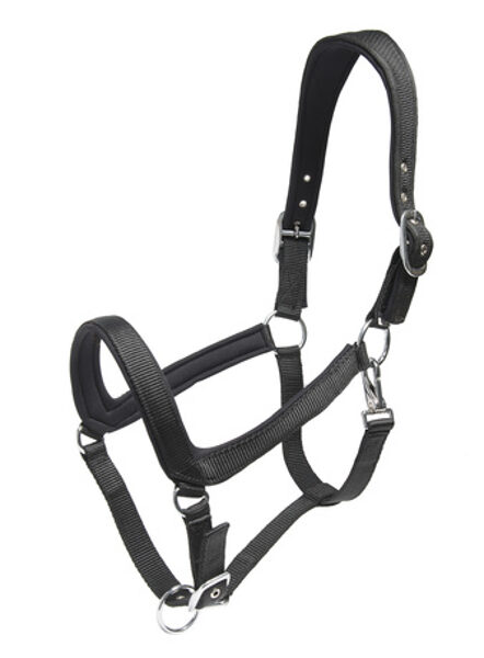 Halters & Lead ropes