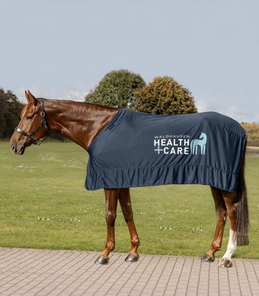 Health + Care Ice Layer blanket