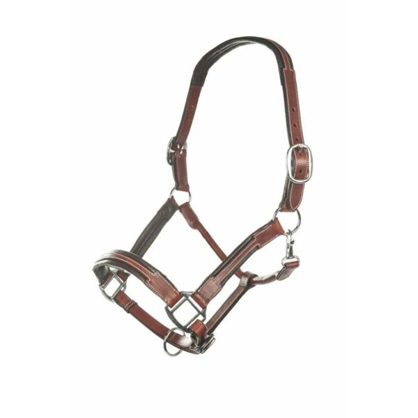 Leather halter