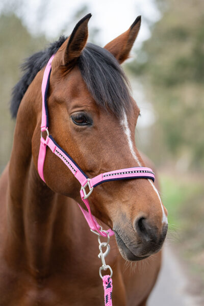 Head collar set