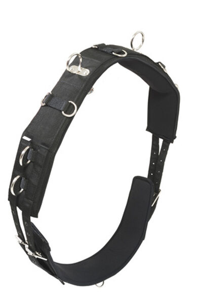 NYLON HARNESS FOR YOUNG HORSES