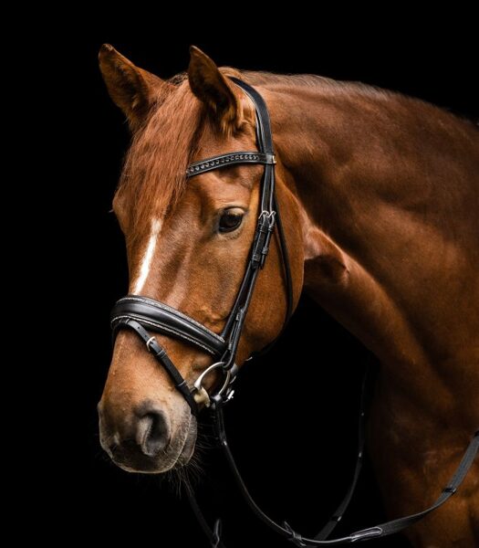 Waldhausen S-Line Snaffle Bridle Glamour