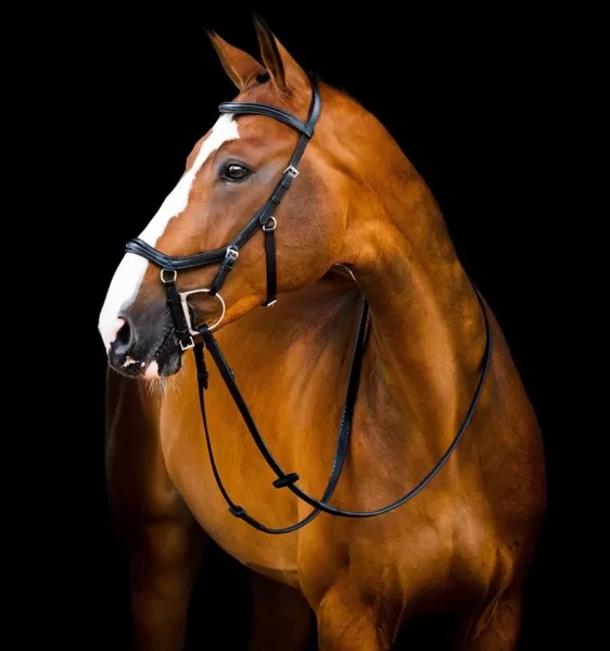 Horseware Micklem® Deluxe Competition Bridle 